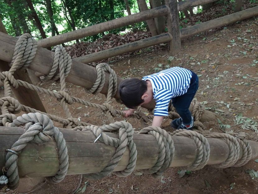 子どもの画像